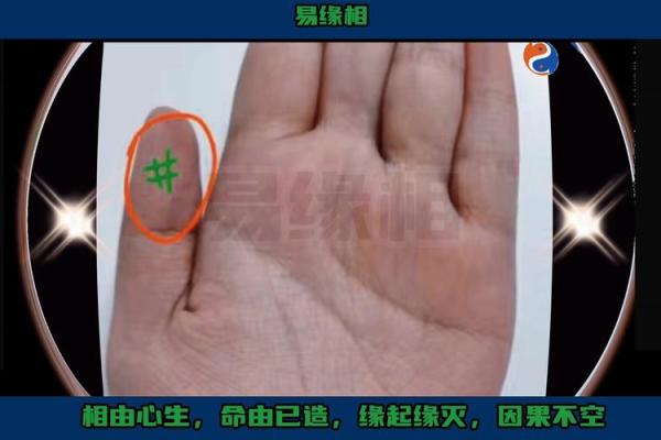 揭秘手相星纹:掌握命运的秘密钥匙 揭秘手相星纹:掌握命运的秘密钥匙