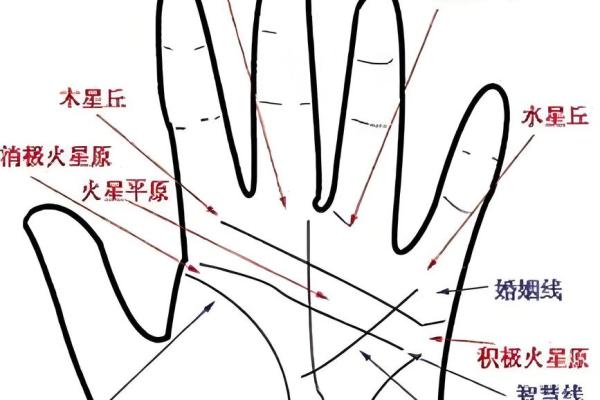 揭秘手相星纹:掌握命运的秘密钥匙 揭秘手相星纹:掌握命运的秘密钥匙