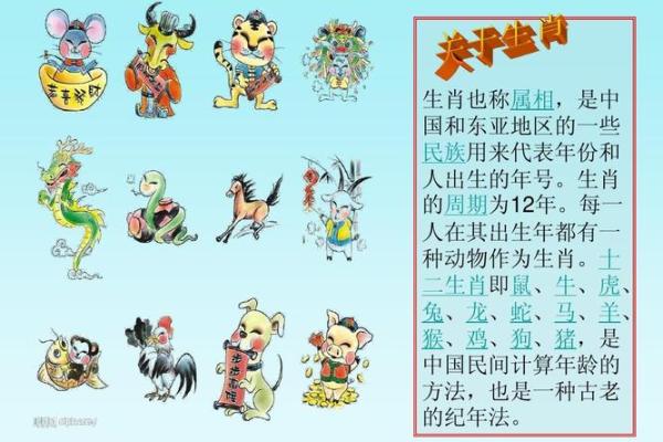 生肖盛宴：揭秘喜荤生肖的美食偏好