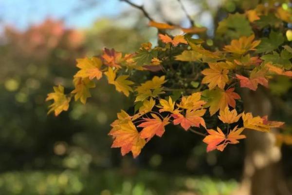 探秘火土格:你的命运正在悄悄改变 探秘火土格:你的命运正在悄悄改变