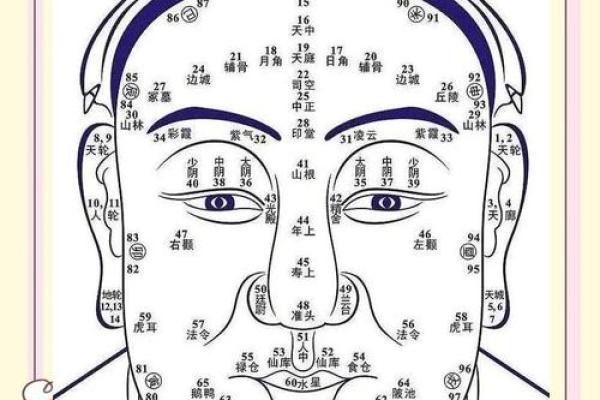 识人于面,一眼看透命运:揭秘面相背后的神奇奥秘 识人于面,一眼看透命运:揭秘面相背后的神奇奥秘