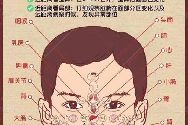 识人于面,一眼看透命运:揭秘面相背后的神奇奥秘 识人于面,一眼看透命运:揭秘面相背后的神奇奥秘