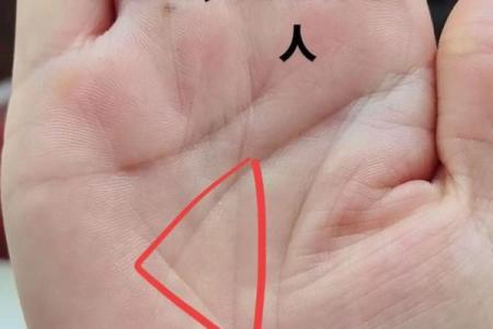 掌握文墨，一指见真章：揭秘作家必备的神奇手相