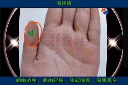 揭秘手相星纹：掌握命运的秘密钥匙