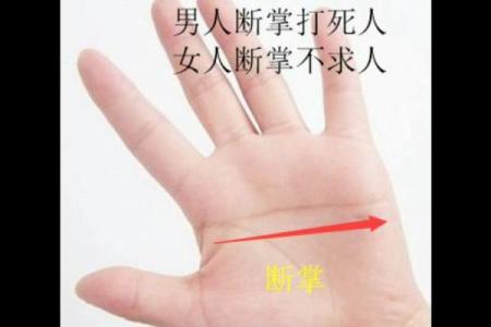 左手断掌男人运势揭秘，手相奥秘助你掌握人生巅峰