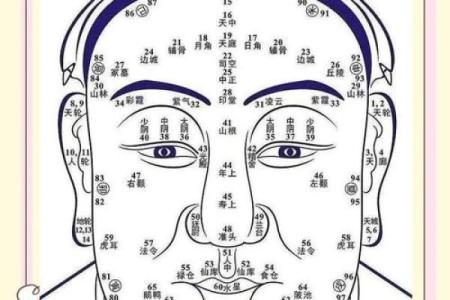 识人于面，一眼看透命运：揭秘面相背后的神奇奥秘