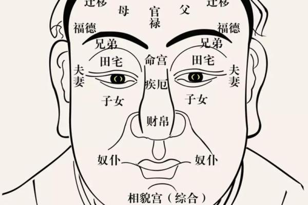 面相大师教你一眼识人:周易揭秘命运密码,识破人心,运势亨通 面相大师教你一眼识人:周易揭秘命运密码,识破人心,运势亨通