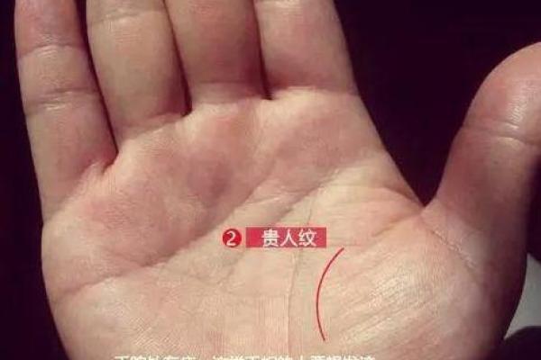 左手痣传奇：女性魅力的独特印记