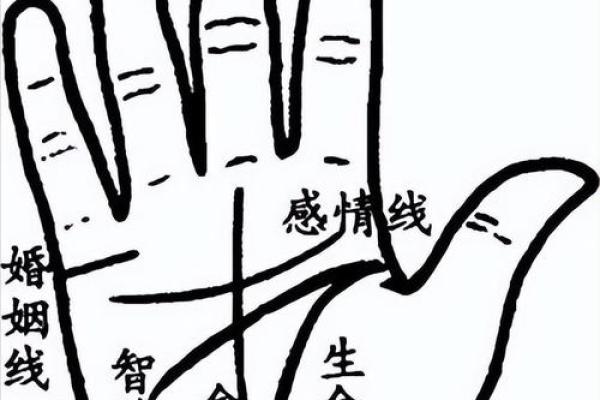 揭秘手相不健康线,免费教你一眼看穿运势 揭秘手相不健康线,免费教你一眼看穿运势