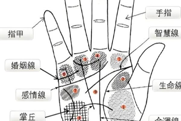 掌纹中的天干,如何影响你的一生 掌纹中的天干,如何影响你的一生