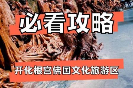 千年古韵，佛韵飘香：揭秘佛教节日民俗风情