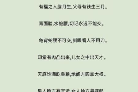 洞穿命运，一眼识人——揭秘面相背后的惊人秘密