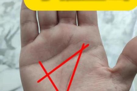 揭秘手相算命：你的命运密码，尽在这一掌之间