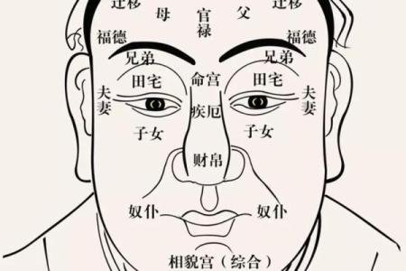 面相大师教你一眼识人：周易揭秘命运密码，识破人心，运势亨通