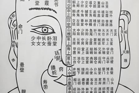 揭秘：面相中的成功基因，看哪些面相的小孩长大最有出息