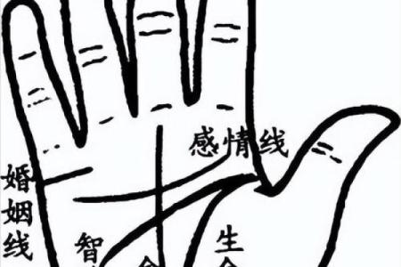 揭秘手相不健康线，免费教你一眼看穿运势