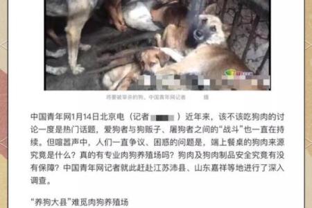 猪狗能相配吗？专家解读背后的科学奥秘