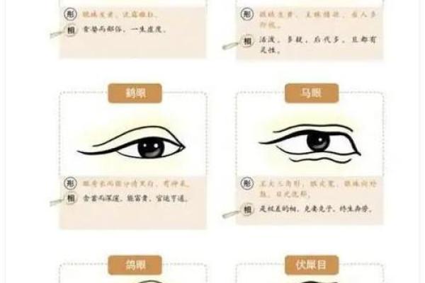 面相揭秘:12大面相特征,揭秘你的命运密码 面相揭秘:12大面相特征,揭秘你的命运密码