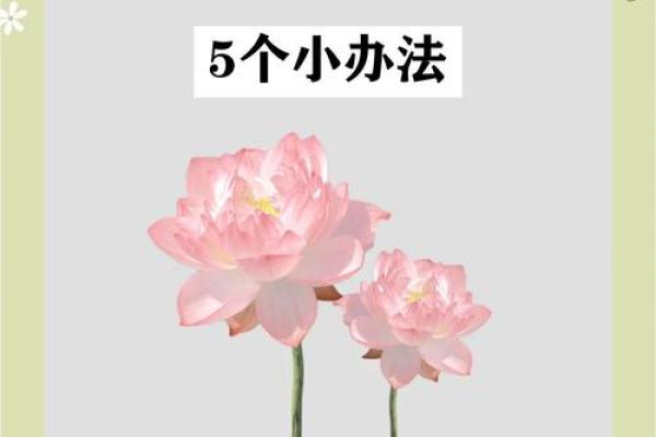 揭秘风水秘术:暗拱之水,助你财运亨通的秘密武器 揭秘风水秘术:暗拱之水,助你财运亨通的秘密武器