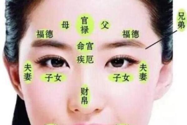 面相揭秘:10大运势旺盛的面相特征,让你财运亨通、事业有成 面相揭秘:10大运势旺盛的面相特征,让你财运亨通、事业有成