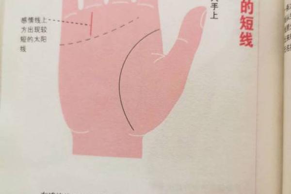 手相揭秘：太阳丘直纹暗示的惊人运势，必看
