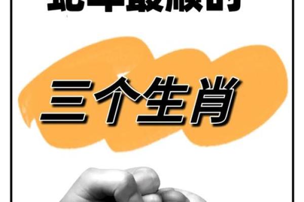 三月份生肖运势大揭秘：谁将脱颖而出，财运亨通？