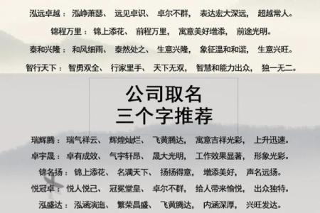 如何给公司起个响亮又吸引人的名字？