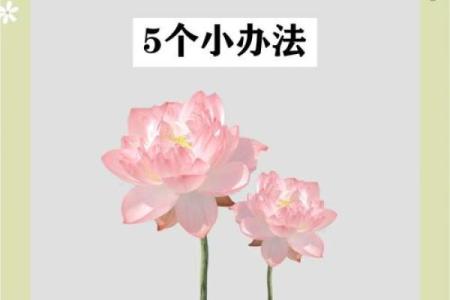 揭秘风水秘术：暗拱之水，助你财运亨通的秘密武器