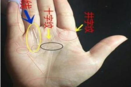 手相揭秘：太阳丘直纹暗示的惊人运势，必看