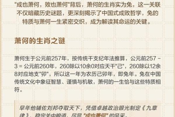 揭秘：男肖生肖之谜，揭秘你的生肖运势