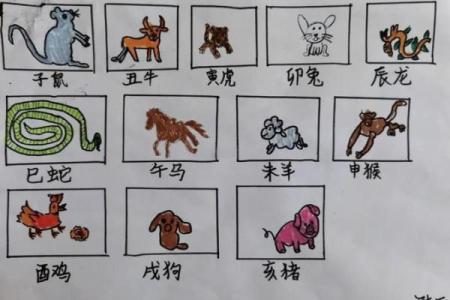 生肖大揭秘：12个生肖背后的神奇传说