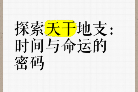 辛天干的深层秘密，解开命运的密码