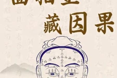 识人于面：揭秘面相的神奇魅力，让你一眼看穿人心