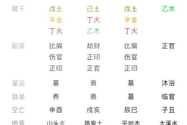 细看胎元神煞排盘,揭开命运的神秘面纱 细看胎元神煞排盘,揭开命运的神秘面纱