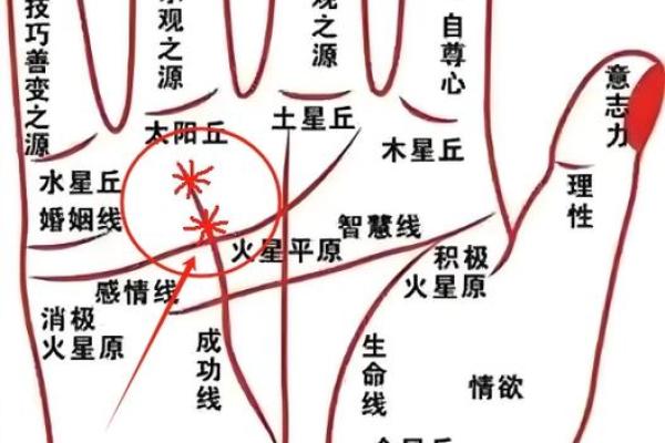 掌中乾坤：揭秘男人手相，一招看穿命运起伏