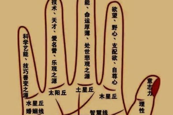掌中乾坤：揭秘男人手相，一招看穿命运起伏