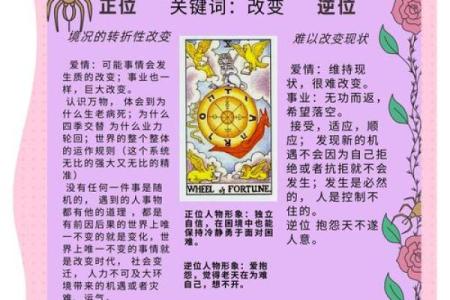 细看胎元神煞排盘，揭开命运的神秘面纱