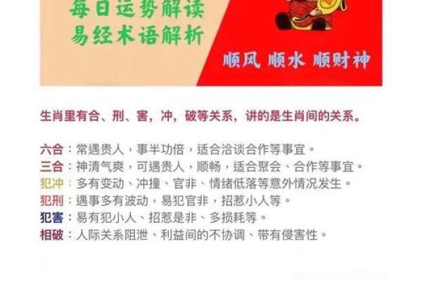 生肖财运：招财旺运，揭秘你的生肖财运秘籍