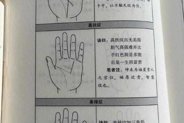揭秘手相学：揭秘手上的这些位置，让你瞬间读懂命运之谜