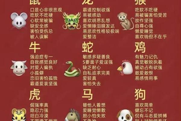 揭秘12生肖，探寻生肖背后的神奇魅力