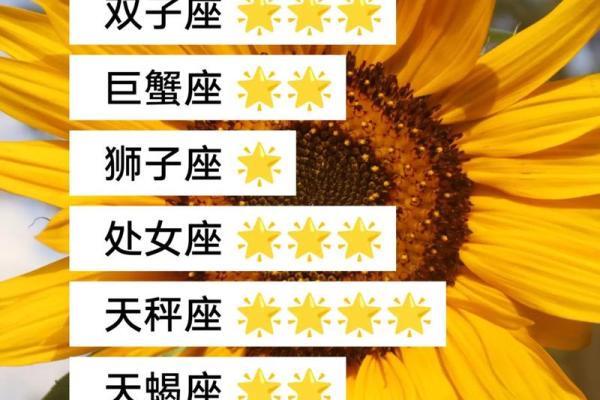 2019年运势大揭秘：十二星座财运、爱情、事业全面分析
