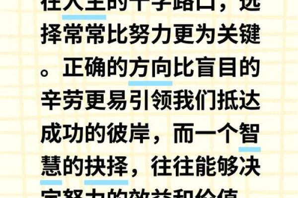 八字新浪全面解析：找准你的人生方向