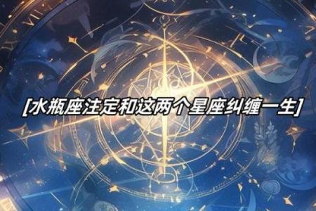 冰爽星座揭秘：雪糕棍带你探索十二星座的甜蜜秘密