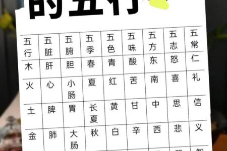 茗字五行属性揭秘，竟然是这个元素！