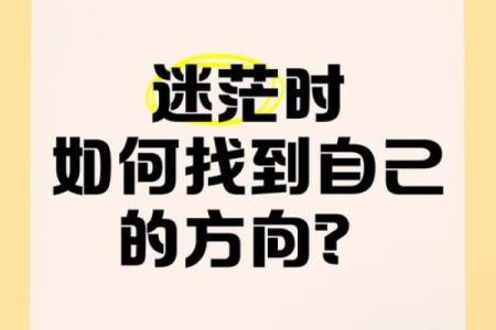 玩八字游戏，了解自己，找到人生的正确方向