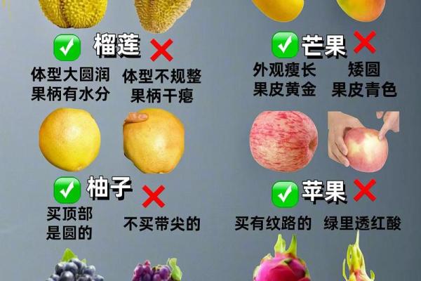 了解五行，挑选最适合你的水果