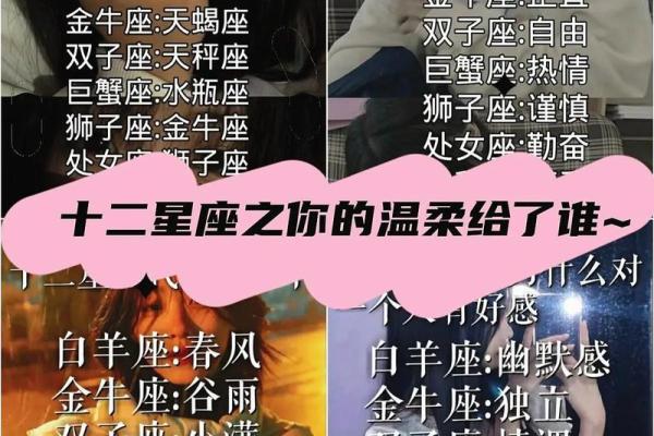 十二星座明星闪耀榜单，谁是你心中的璀璨之星？