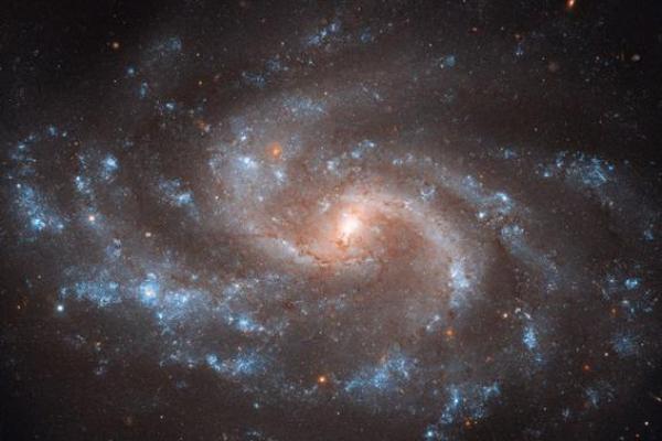 周子南命理：帮助你精准预测未来的命运密码