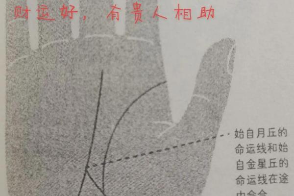 揭秘手相中的命运线：中间线究竟预示着什么？