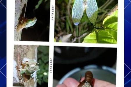 金蝉脱壳，谁才是真正的守财高手？